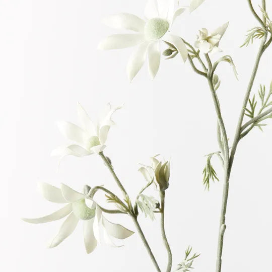 Flannel Flower Spray Cream Green 78cm - Pack of 12