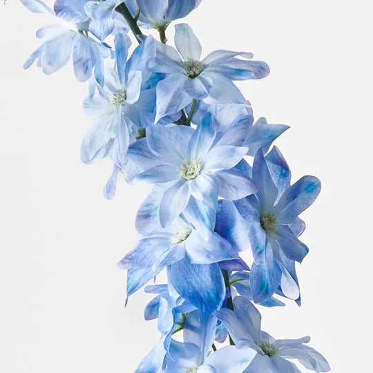 Delphinium Blue 90cm - Pack of 12