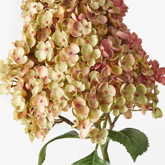 Hydrangea Cone Green Mauve 104cm - Pack of 6