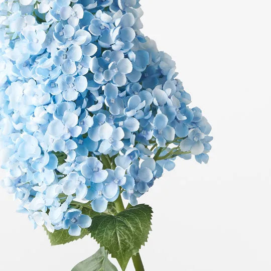 Hydrangea Cone Blue 104cm - Pack of 6