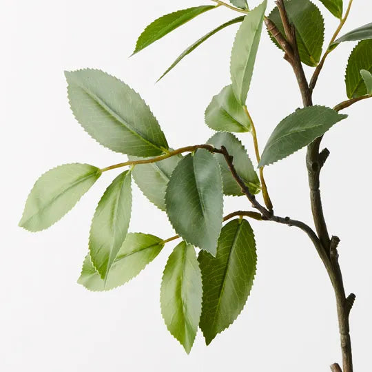 Bay Leaf Spray Green 82cm - Pack of 12