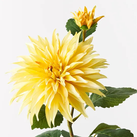 Dahlia Spray Yellow 74cm - Pack of 12