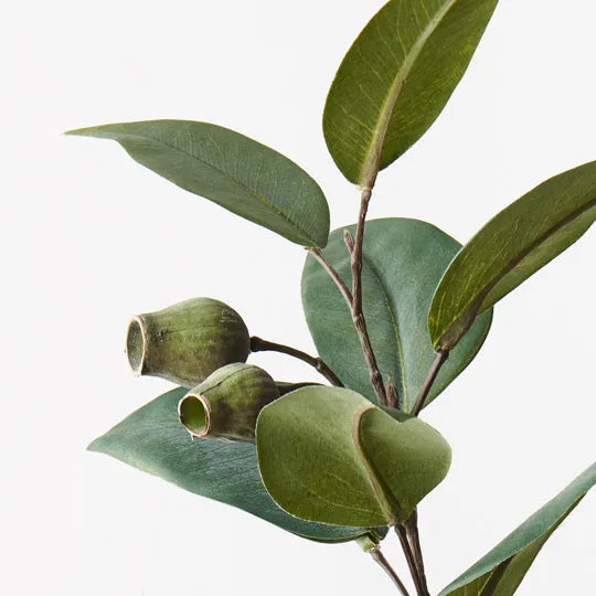 Eucalyptus Gum Nut Spray Green 61cm - Pack of 12