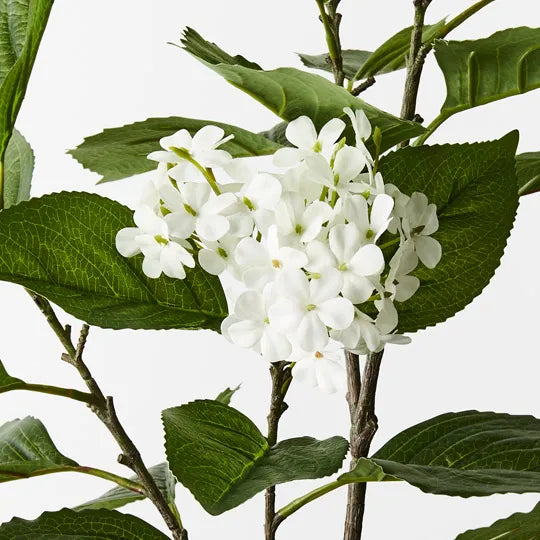Hydrangea Spray White 100cm - Pack of 12