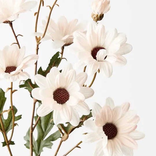 Daisy Spray Dusty Cream 68cm - Pack of 12