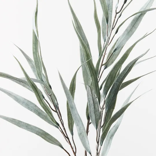 Eucalyptus Long Leaf Spray Grey Green 78cm - Pack of 24