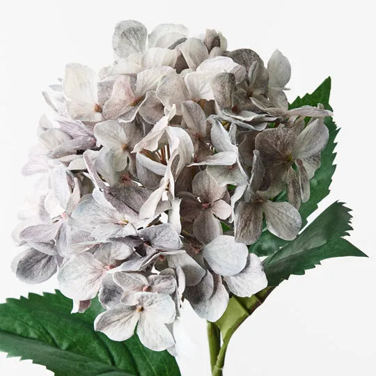Hydrangea Dusty Blue 64cm - Pack of 12
