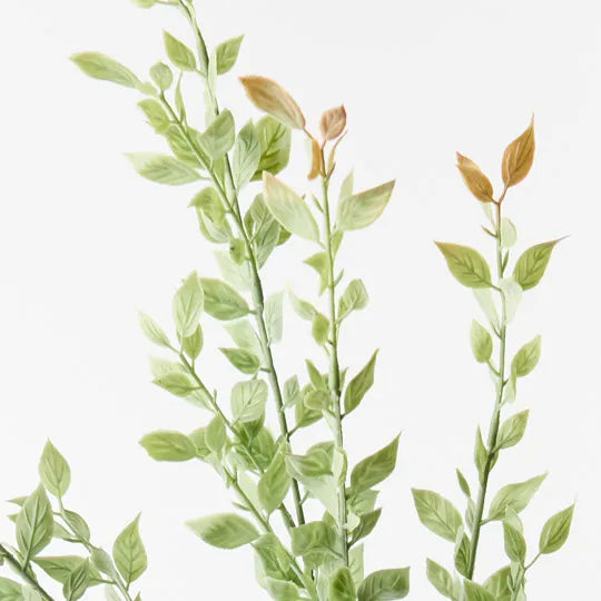 Myrtle Leaf Spray Green 97cm - Pack of 12