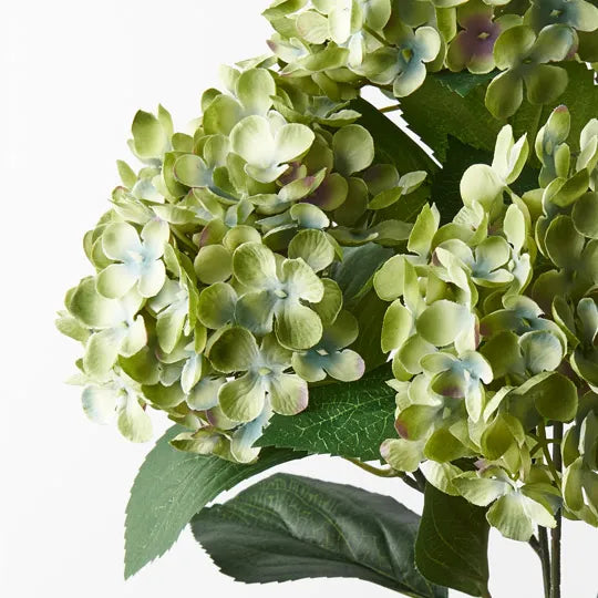 Hydrangea Bush Green 46cm - Pack of 12