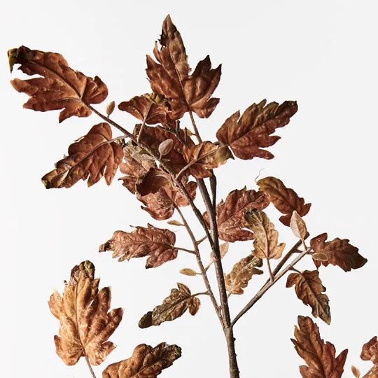 Perilla Leaf Spray Brown 89cm - Pack of 12