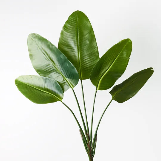 Palm Traveller Frond Green 160cm - Pack of 6