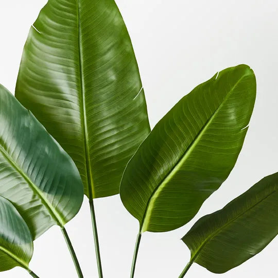 Palm Traveller Frond Green 160cm - Pack of 6