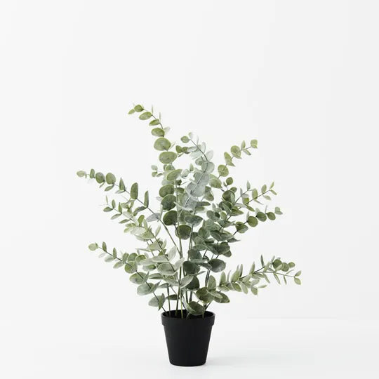 Eucalyptus Bush in Pot Green Grey 53cm - Pack of 6