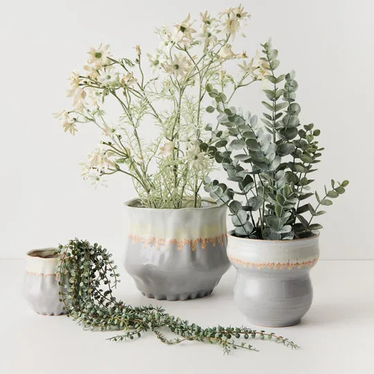Eucalyptus Bush in Pot Green Grey 53cm - Pack of 6