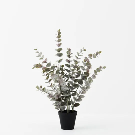 Eucalyptus Bush in Pot Grey 53cm - Pack of 6