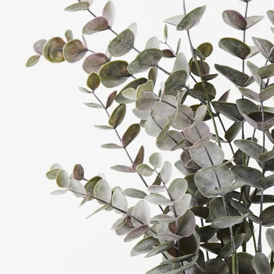 Eucalyptus Bush in Pot Grey 53cm - Pack of 6