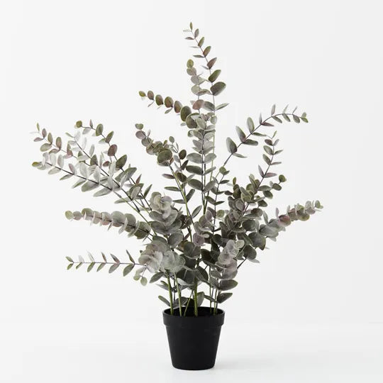 Eucalyptus Bush in Pot Grey 68cm - Pack of 4