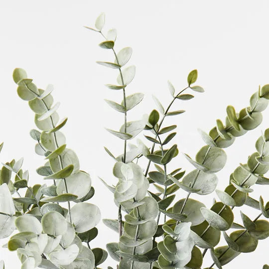 Eucalyptus Bush Green Grey 56cm - Pack of 6