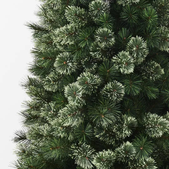 Christmas Tree Pine Alaskan Green 240cm