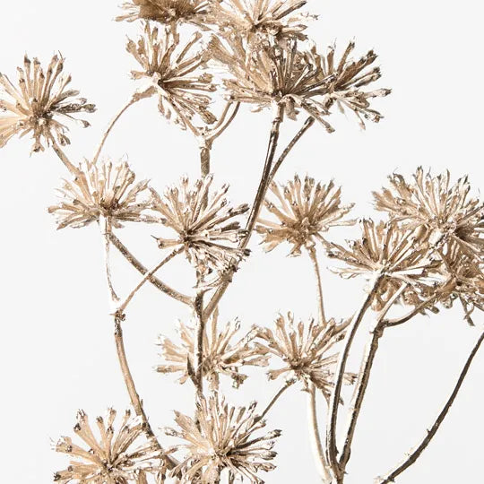 Aralia Metallic Spray Champagne 45cm - Pack of 12