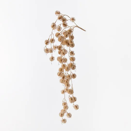 Sycamore Metallic Hanging Bush Champagne  76cm  - Pack of 12