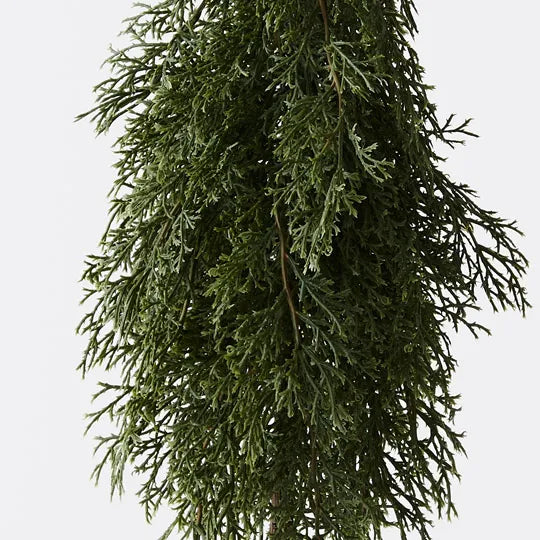 Tree Pine Cypress in Pot Green 50cm - Pack of 6