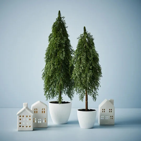 Tree Pine Cypress in Pot Green 50cm - Pack of 6