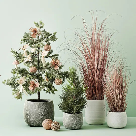 Grass Plant Dusty Pink 150cm - Pack of 2
