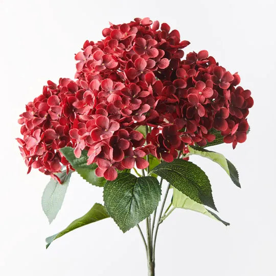 Hydrangea Bush Red 46cm - Pack of 12