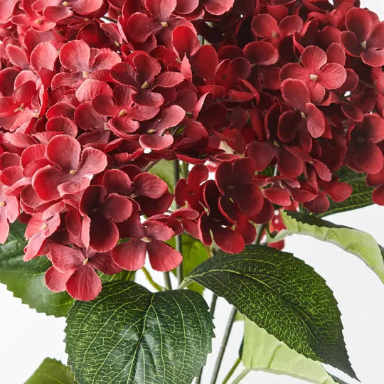 Hydrangea Bush Red 46cm - Pack of 12