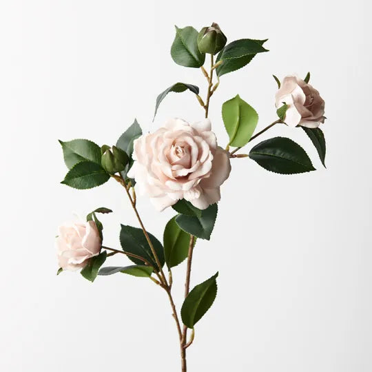Camellia Spray Soft Pink 73cm - Pack of 12