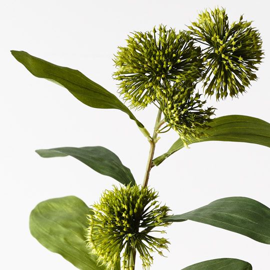 Sweet Gum Blossom Green 71cm Pack of 12