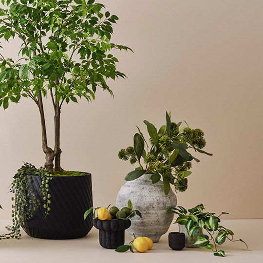 Sweet Gum Blossom Green 71cm Pack of 12