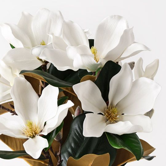 Magnolia Japanese Mix in Pot White 48cm