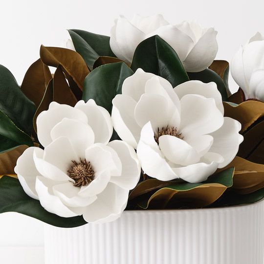 Magnolia Japanese Mix in Pot White 33cm