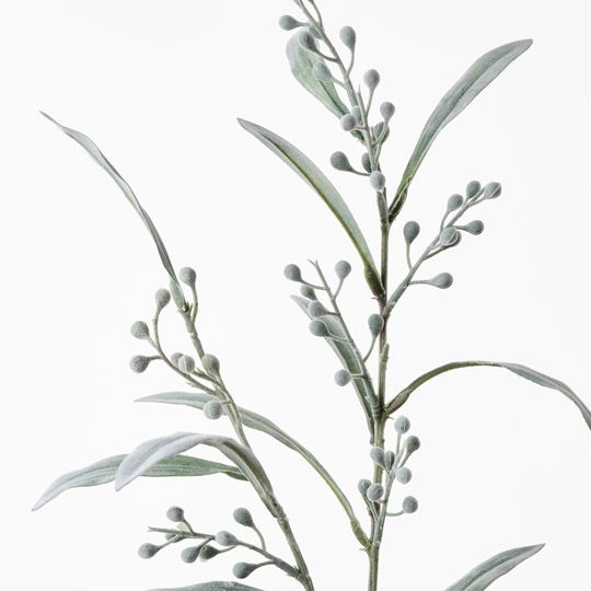 Mimosa Spray Grey Green 81cm Pack of 24