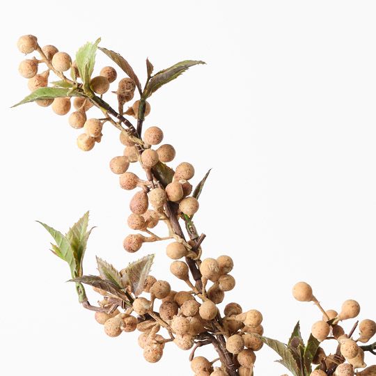 Berry Spray Natural 61cm Pack of 12
