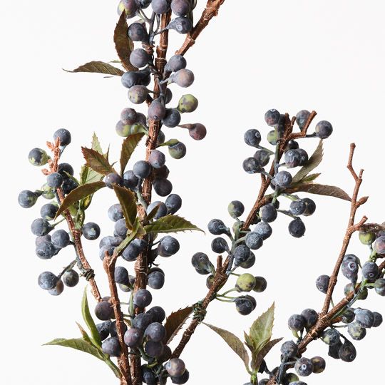 Berry Spray Blue 96cm Pack of 12