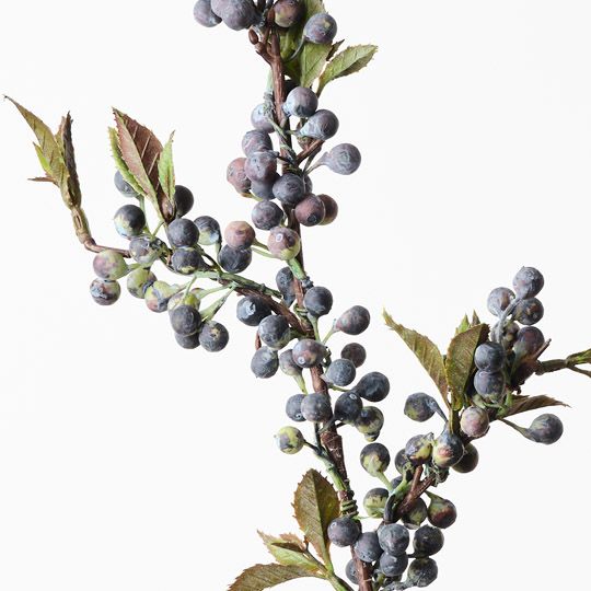 Berry Spray Blue 61cm Pack of 12