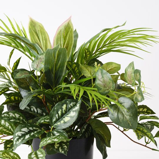 Palm Mix Plant Green 48cm Pack of 4