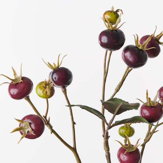 Rosehip Spray Burgundy 66cm Pack of 12