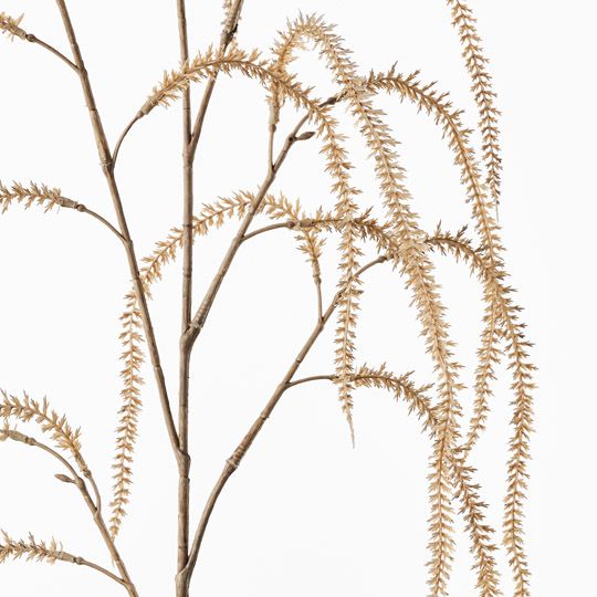 Amaranthus Spray Natural 107cm Pack of 12