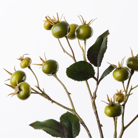 Rosehip Spray Green 66cm Pack of 12