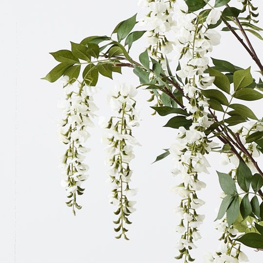 Wisteria Tree White 150cm Pack of 2