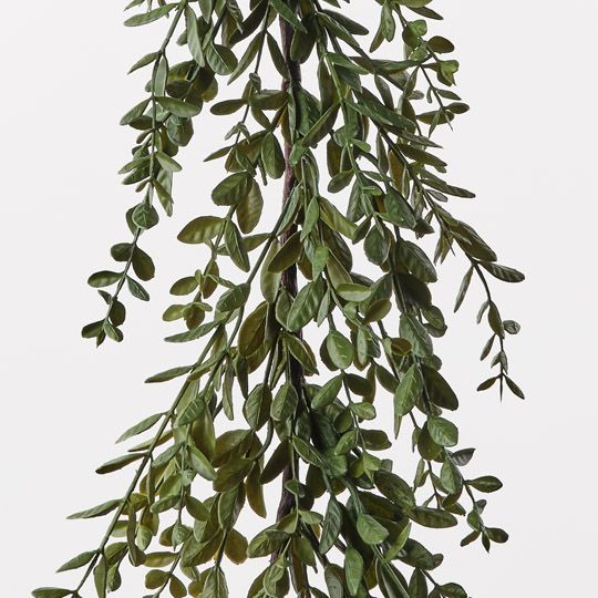 Boxwood Garland Green 182cm Pack of 3