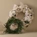 Poinsettia Glitter Wreath White 76cm Pack of 2