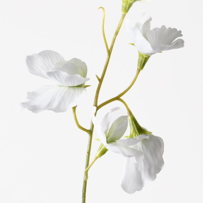 Sweet Pea Spray White 72cm Pack of 12