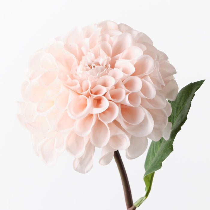 Dahlia Pompon Soft Pink 58cm Pack of 12