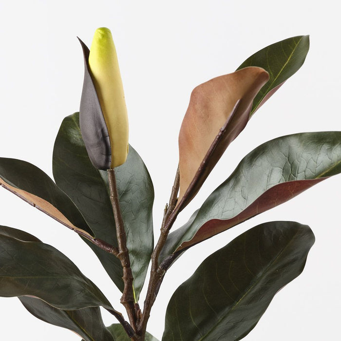 Magnolia Bud Leaf Spray Cream Green 86cm Pack of 12