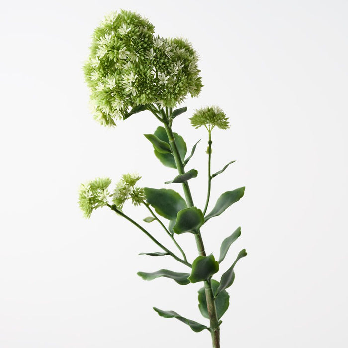 Sedum Flower Spray White Green 77cm Pack of 6